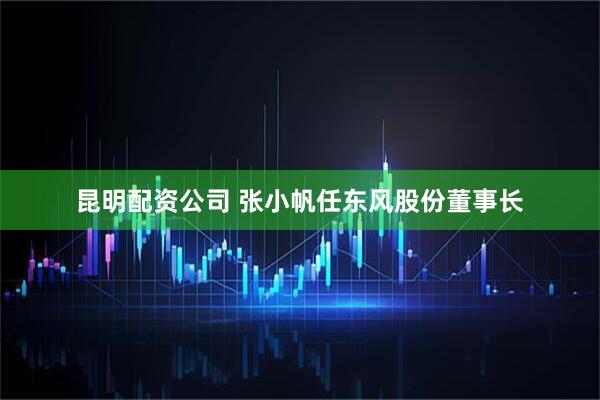 昆明配资公司 张小帆任东风股份董事长