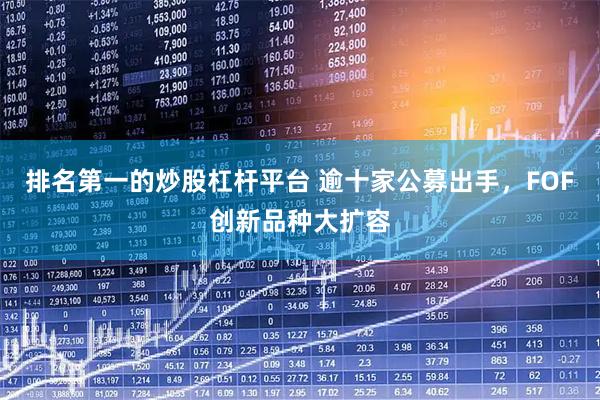 排名第一的炒股杠杆平台 逾十家公募出手，FOF创新品种大扩容